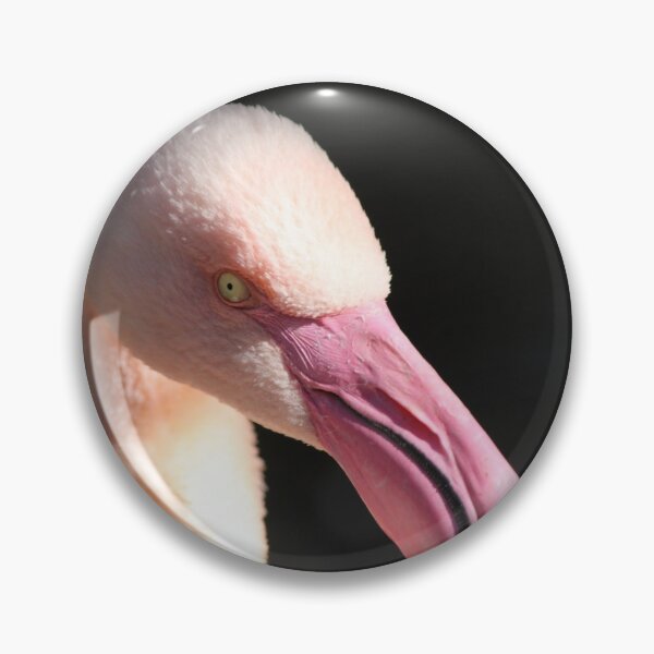 Artikelvorschau, Rosa Flamingo entworfen und verkauft von Mdillon.