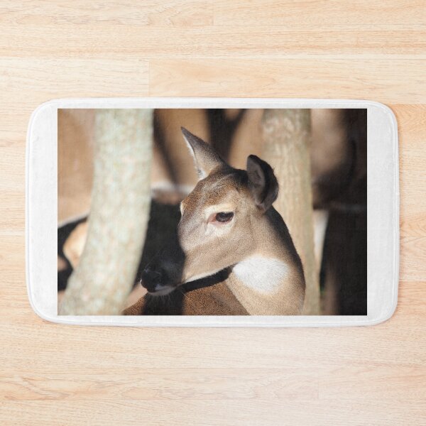 Item preview, Deer - White Tail designed and sold by Mdillon.