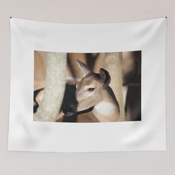 Item preview, Deer - White Tail designed and sold by Mdillon.