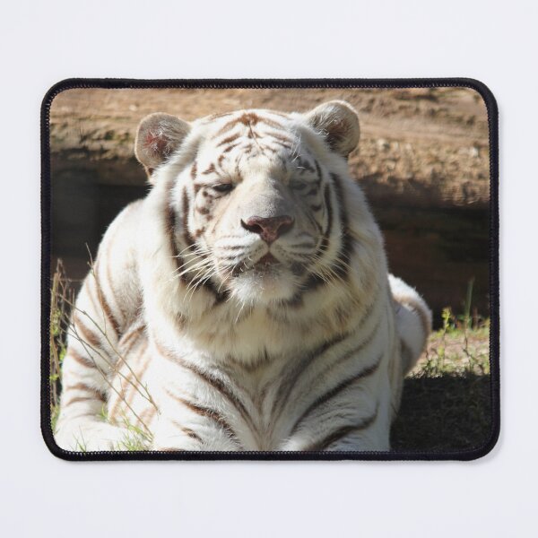 Item preview, Bengal Tiger White designed and sold by Mdillon.