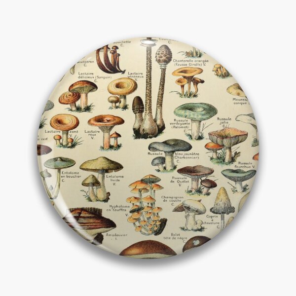 Item preview, Vintage Mushroom Diagram designed and sold by haychis.