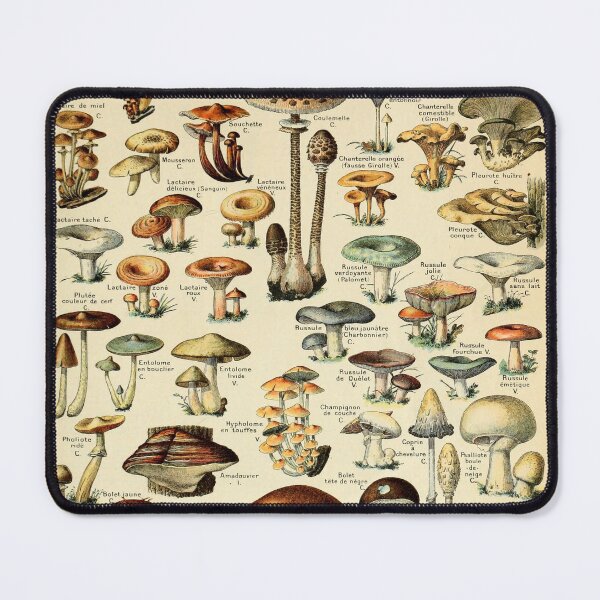 Item preview, Vintage Mushroom Diagram designed and sold by haychis.