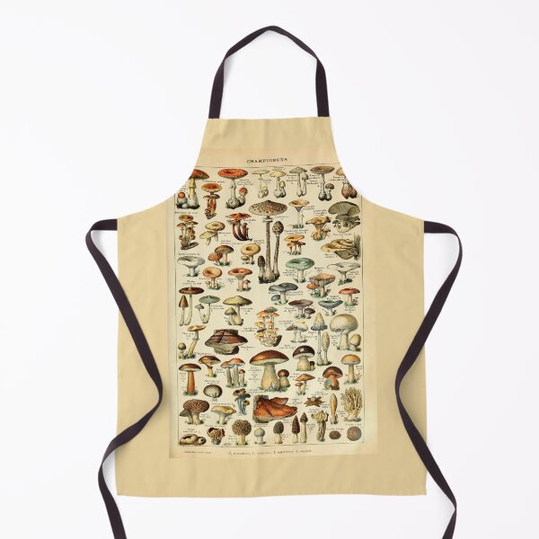 Item preview, Vintage Mushroom Diagram designed and sold by haychis.
