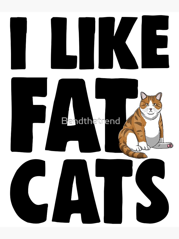 I Like Big Cats and I Cannot Lie Plus Size Leggings Fat Cat