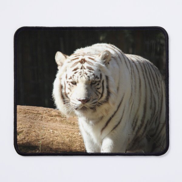 Item preview, Bengal Tiger White designed and sold by Mdillon.