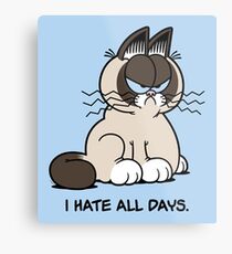 Always Grumpy Metal Print