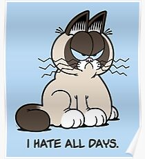 Always Grumpy Poster