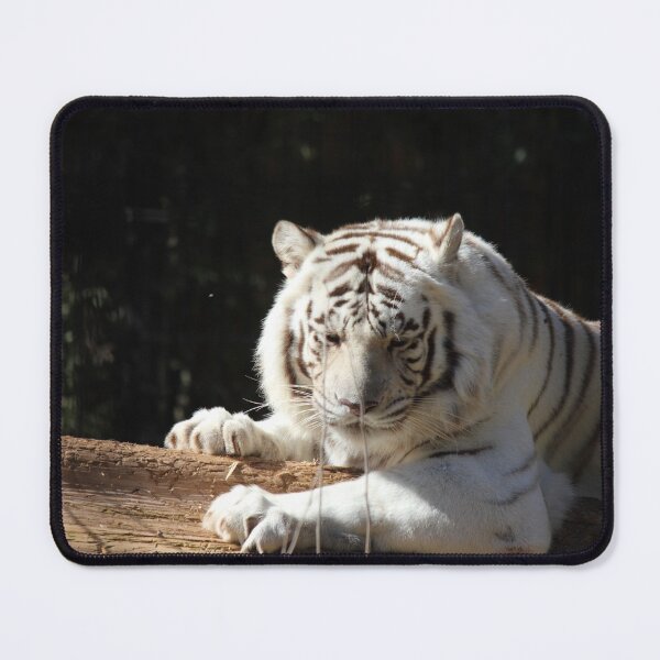 Item preview, Bengal Tiger White designed and sold by Mdillon.