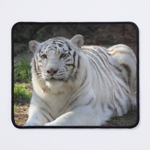 Item preview, Bengal Tiger White designed and sold by Mdillon.