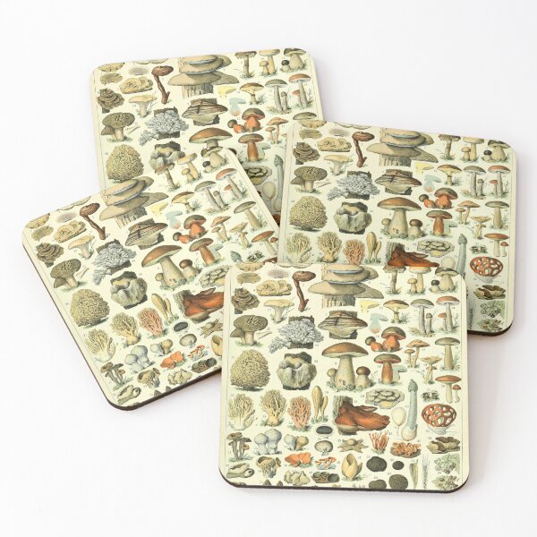 Item preview, Vintage Mushroom Diagram designed and sold by haychis.