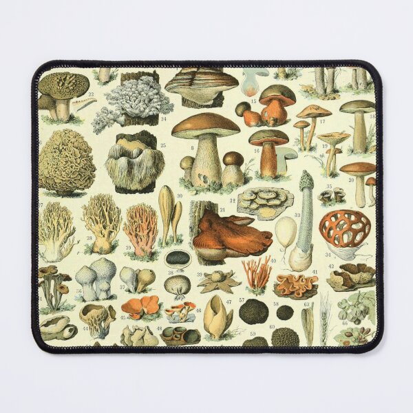 Item preview, Vintage Mushroom Diagram designed and sold by haychis.