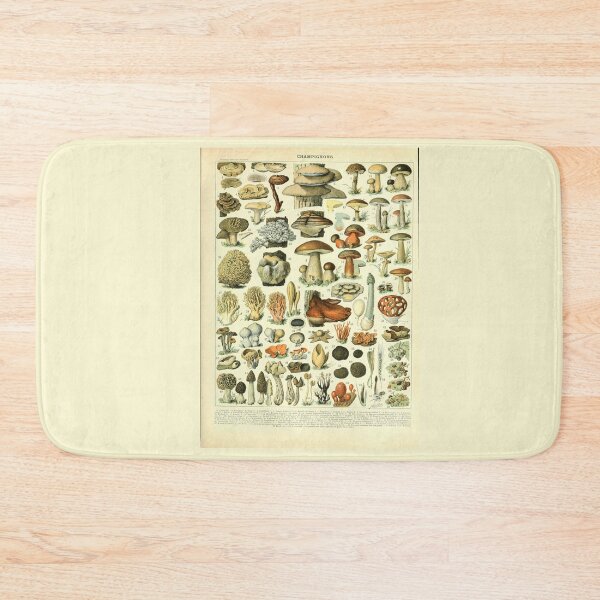 Item preview, Vintage Mushroom Diagram designed and sold by haychis.