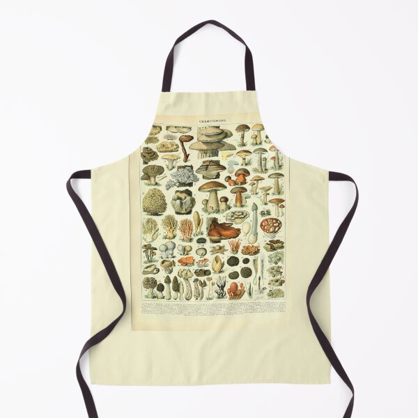Item preview, Vintage Mushroom Diagram designed and sold by haychis.