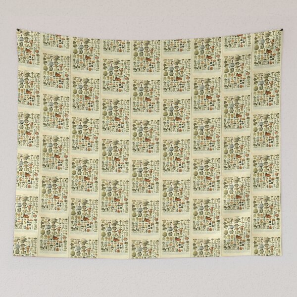 Item preview, Vintage Mushroom Diagram designed and sold by haychis.