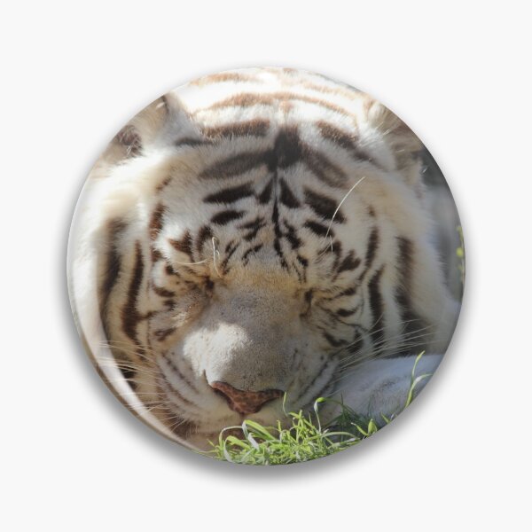 Item preview, White Bengal Tiger - Sleep designed and sold by Mdillon.