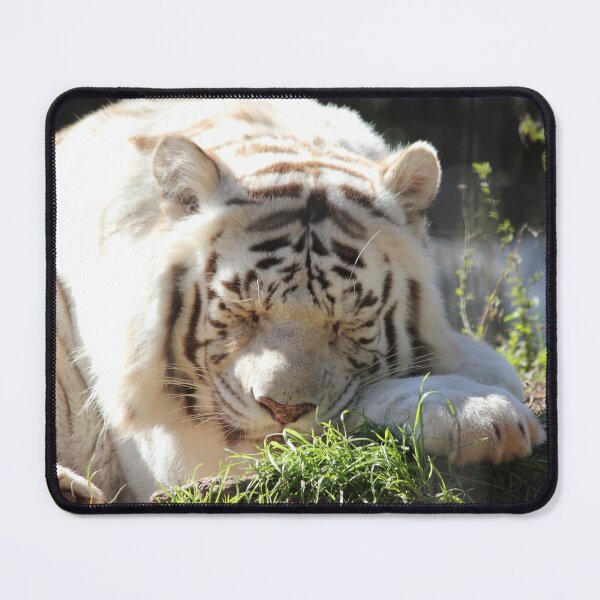 Item preview, White Bengal Tiger - Sleep designed and sold by Mdillon.