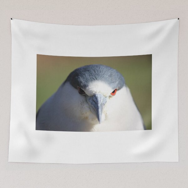 Item preview, Black Crown Heron designed and sold by Mdillon.