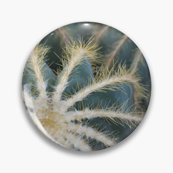 Item preview, Sharp Beauty - Elegantly Ordered Cactus Needles designed and sold by Georgia Mizuleva.
