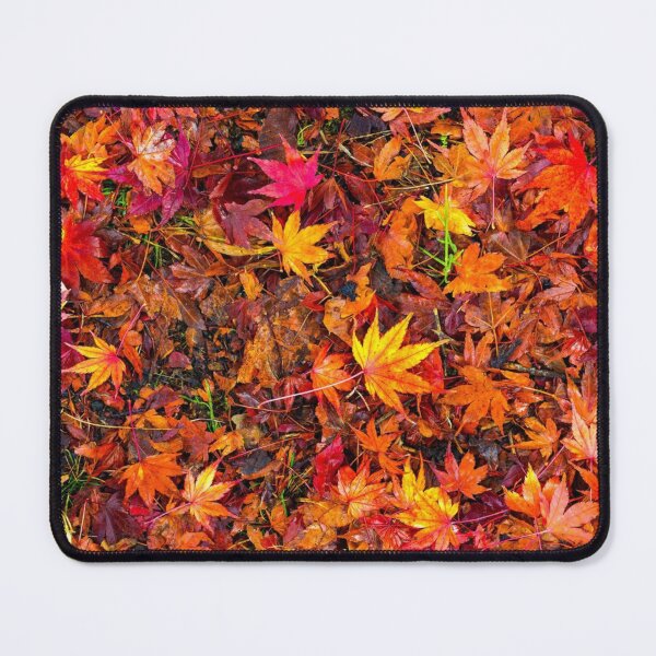 Item preview, Autumn leaves designed and sold by zosyciukas.