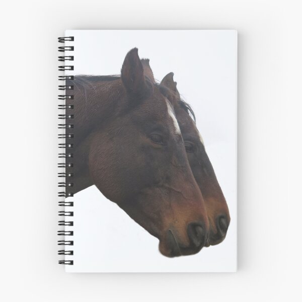 Item preview, Twin Horses Photography Print designed and sold by griffingphoto.