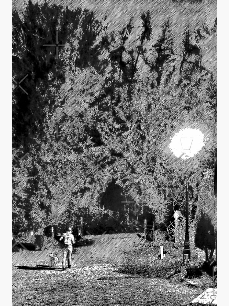 "Midnight Treelined Dogwalker" Sticker for Sale by CannedWildlife