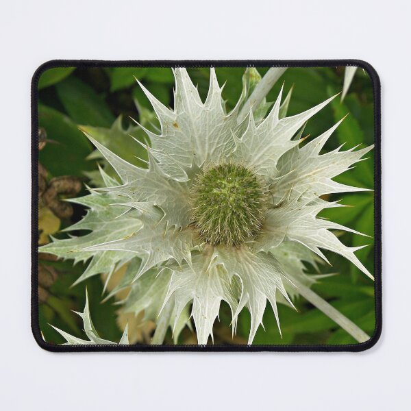 Item preview, Spikes designed and sold by ColinBoylett.