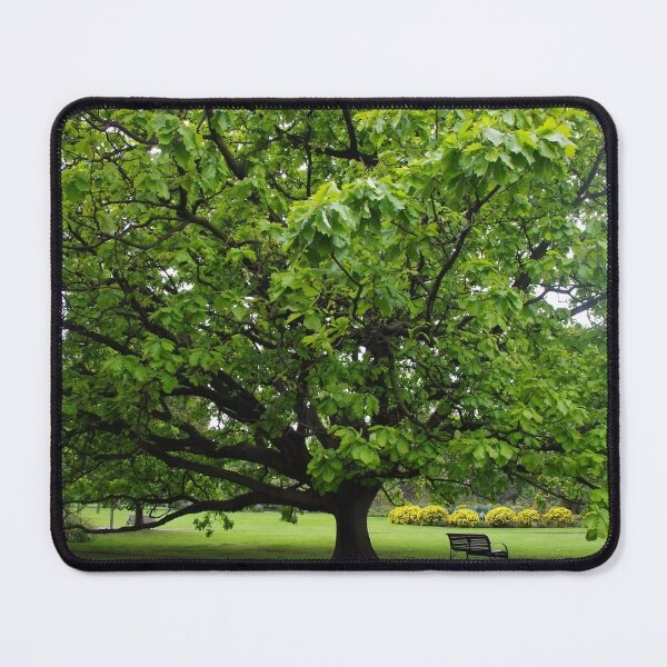 Item preview, Park Tree designed and sold by lezvee.