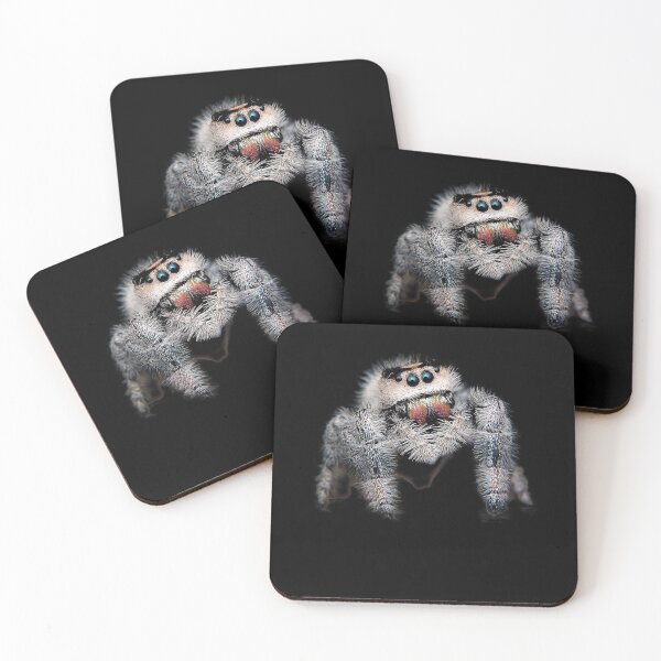 Item preview, Jumping spider jumping spider spiders designed and sold by phys.