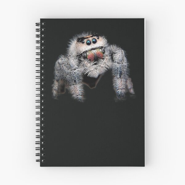 Item preview, Jumping spider jumping spider spiders designed and sold by phys.