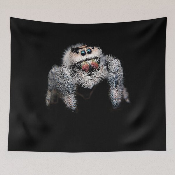 Item preview, Jumping spider jumping spider spiders designed and sold by phys.