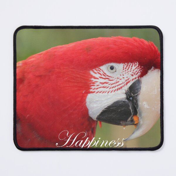 Item preview, Motivate, Motivational, Happiness- Parrot designed and sold by Mdillon.