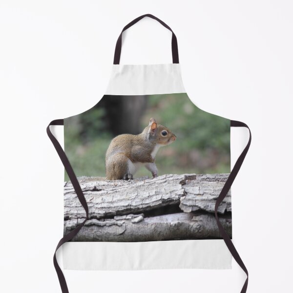 Artikelvorschau, Squirrel entworfen und verkauft von Mdillon.