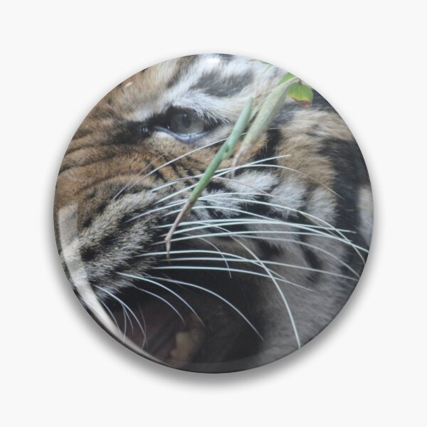 Item preview, Bengal Tiger - Laugh designed and sold by Mdillon.