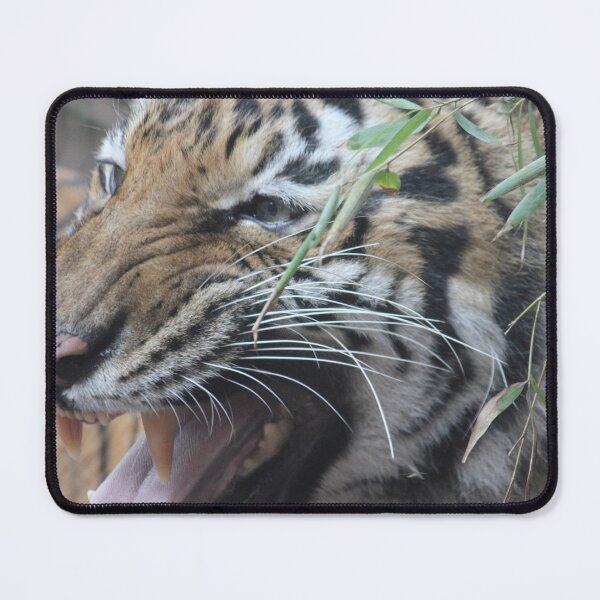 Item preview, Tigre de Bengala - Risa designed and sold by Mdillon.
