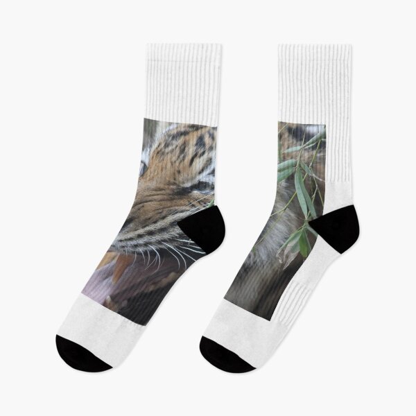 Item preview, Bengal Tiger - Laugh designed and sold by Mdillon.