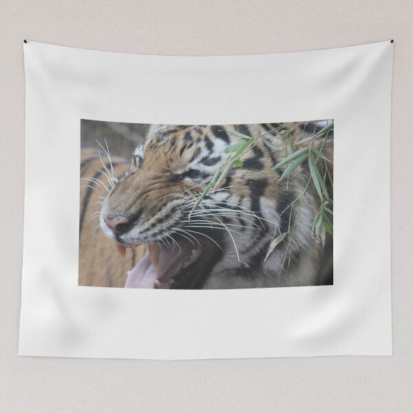 Item preview, Bengal Tiger - Laugh designed and sold by Mdillon.
