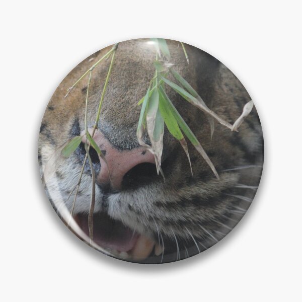 Artikelvorschau, Bengal Tiger - Happy entworfen und verkauft von Mdillon.
