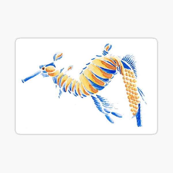 Aussie sea dragon Sticker