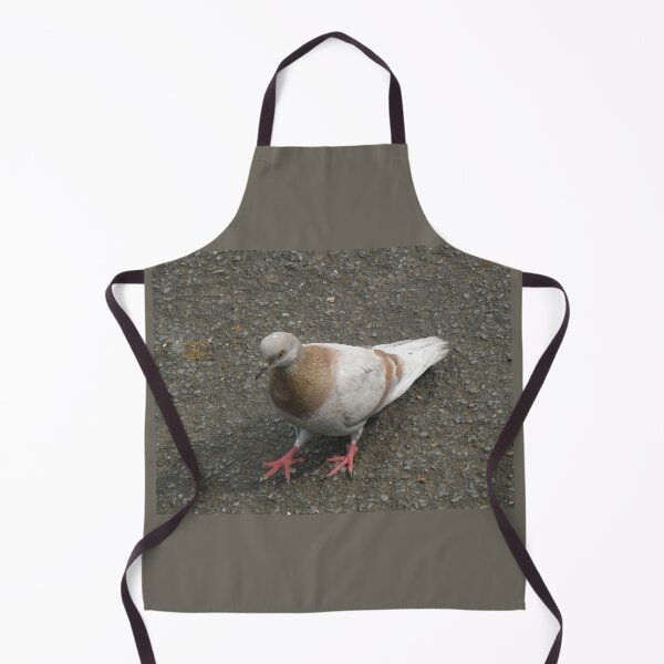 Item preview, Feral London Pigeon Strutting Photograph designed and sold by naturegallery.