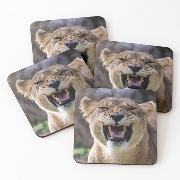 Item preview, Lioness designed and sold by rafaellsilveira.