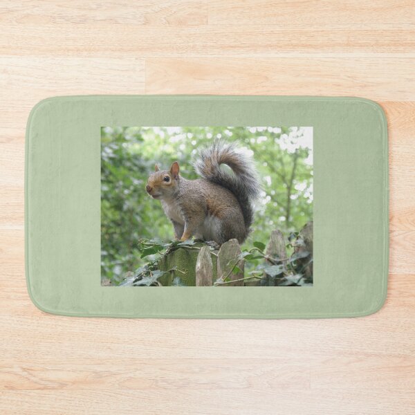 Item preview, Grey Squirrel on a Fence Post Photograph designed and sold by naturegallery.