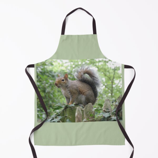 Item preview, Grey Squirrel on a Fence Post Photograph designed and sold by naturegallery.