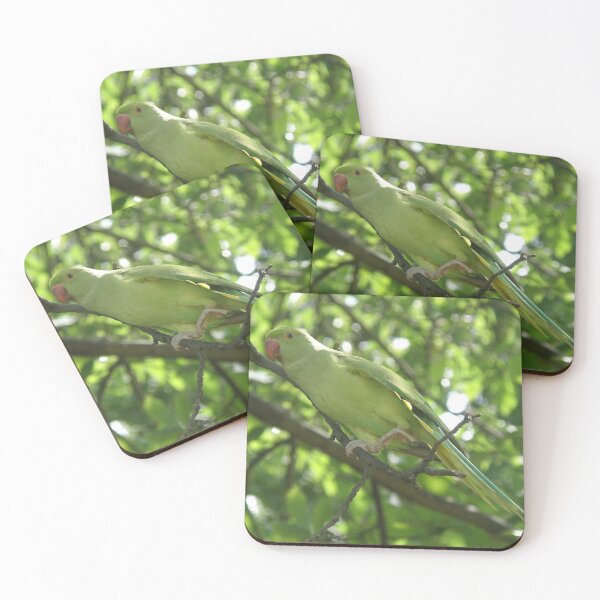 Item preview, Ring Necked Parakeet Stretching Exercises Photograph designed and sold by naturegallery.