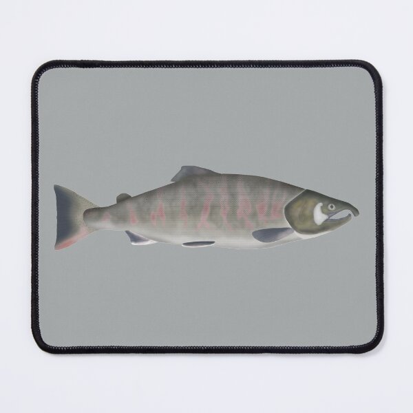 Item preview, Masu Salmon -Spawning Phase designed and sold by fishfolkart.