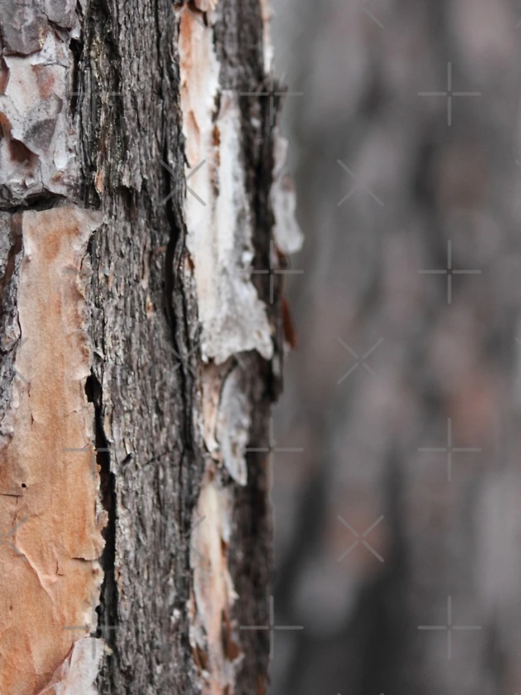 Thumbnail 4 of 4, iPhone Case, Tree Rough designed and sold by Mdillon.