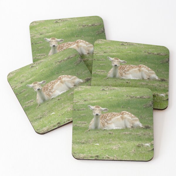 Item preview, Cute Female Fallow Deer Laying Down Photograph designed and sold by naturegallery.