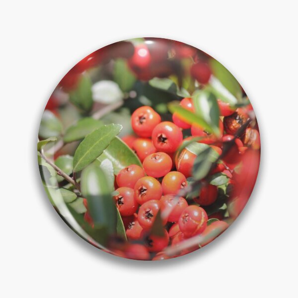 Item preview, Hawthorne Berry designed and sold by Mdillon.