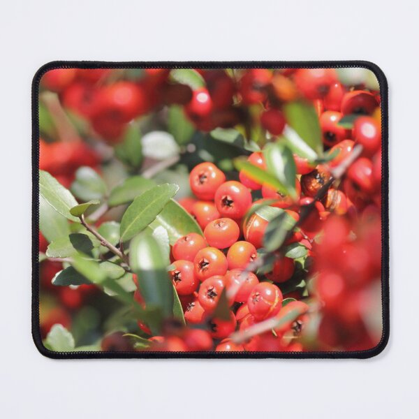 Item preview, Hawthorne Berry designed and sold by Mdillon.