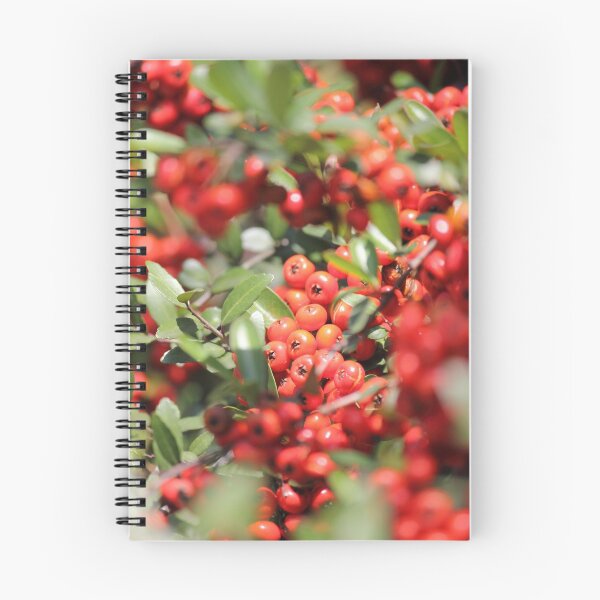 Item preview, Hawthorne Berry designed and sold by Mdillon.