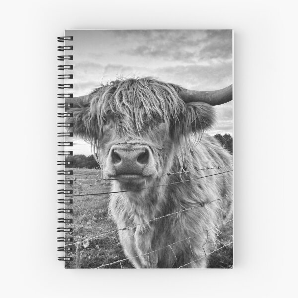 Item preview, Scottish Highland Cow designed and sold by Braw-Merch.